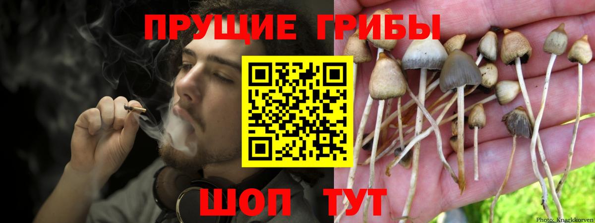 Псилоцибиновые грибы мухоморы Грозный