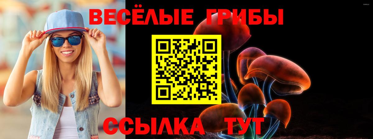 Грозный  Псилоцибиновые грибы Psilocybine cubensis  Вход с VPN 